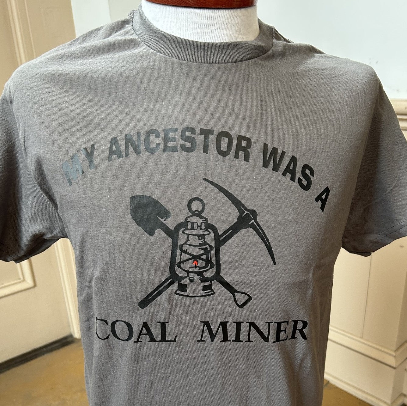 My Ancestor was a Coal Miner S321