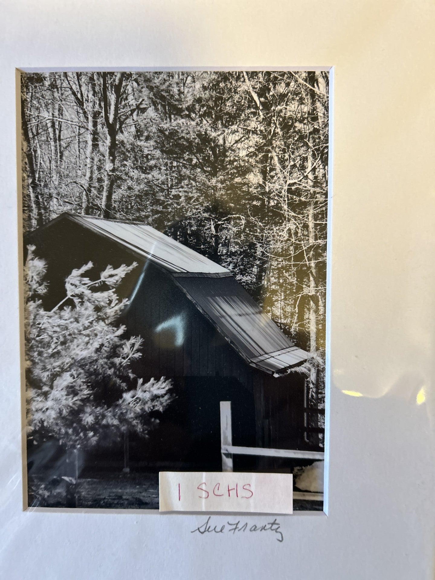 Sue Frantz 8 x 10 matted - PC142