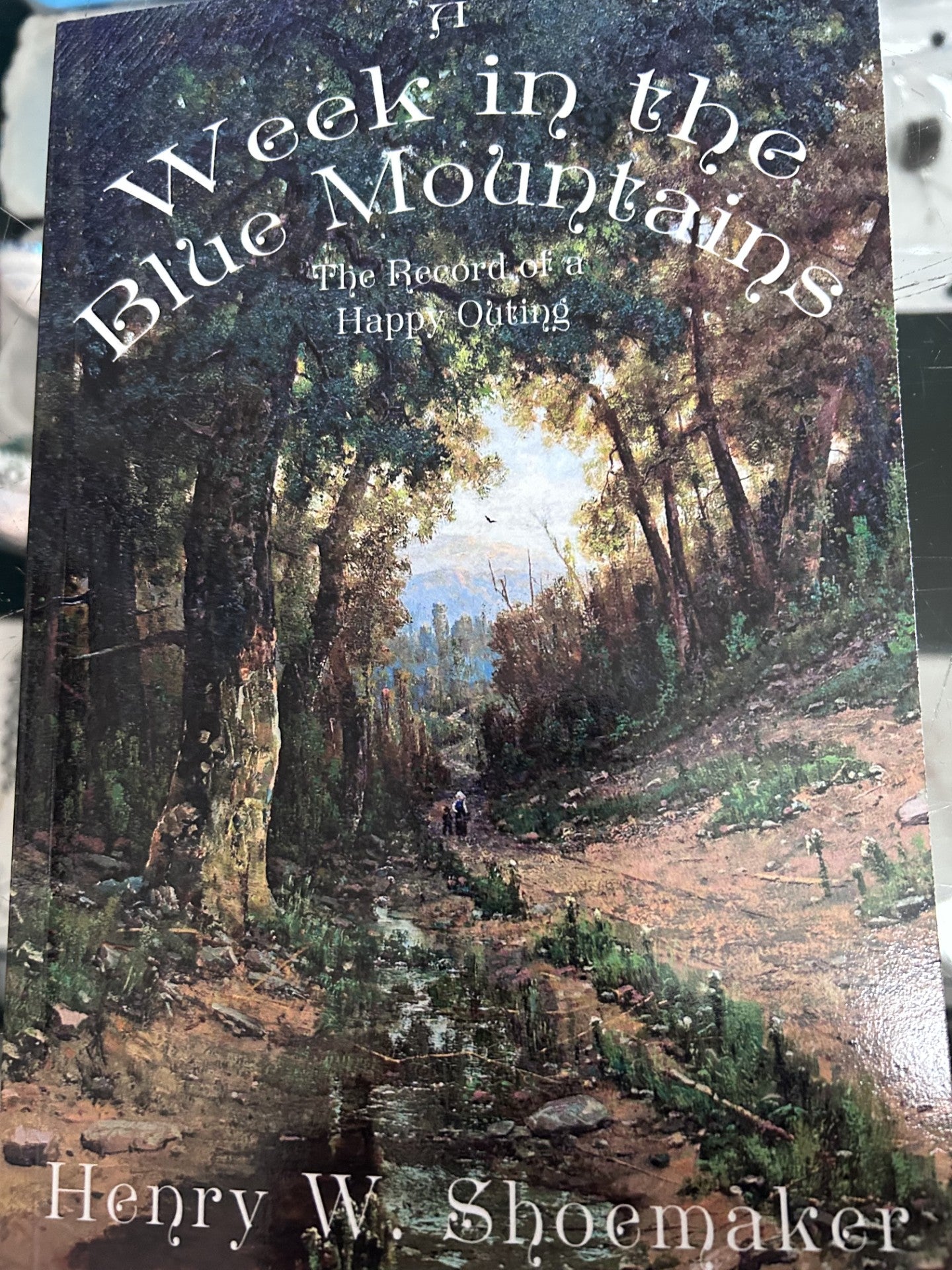A Week in the Blue Mountains