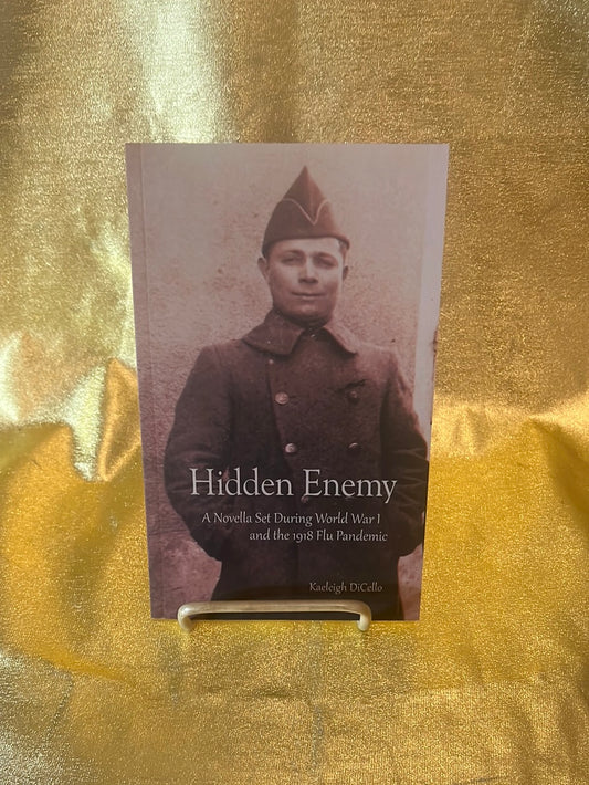Hidden Enemy - B703