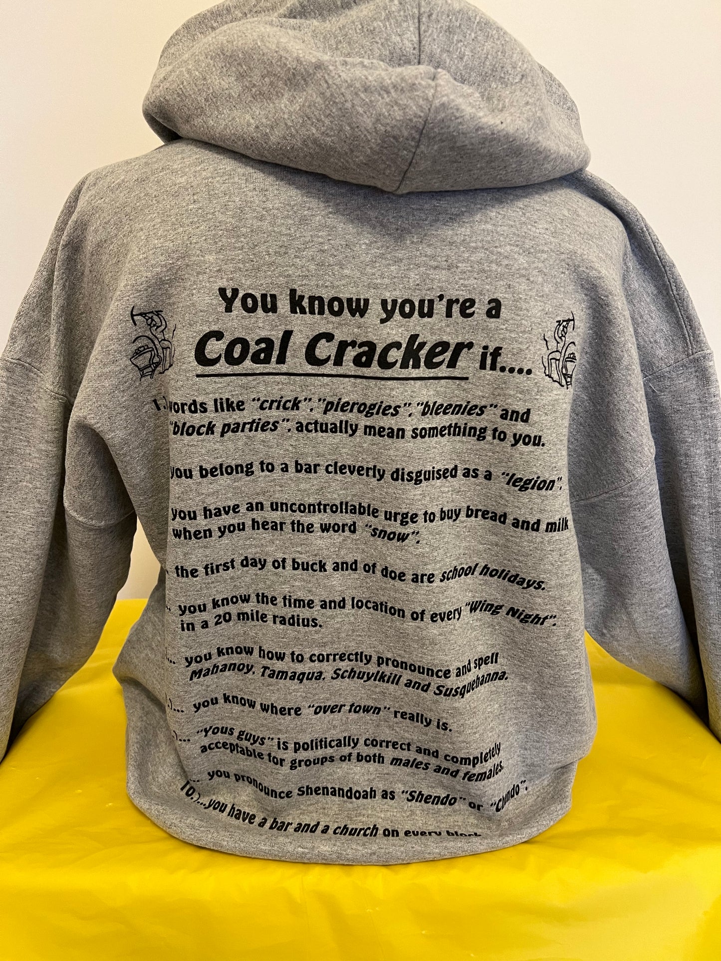 Coal Region Hoodie - S022XX (2XL)