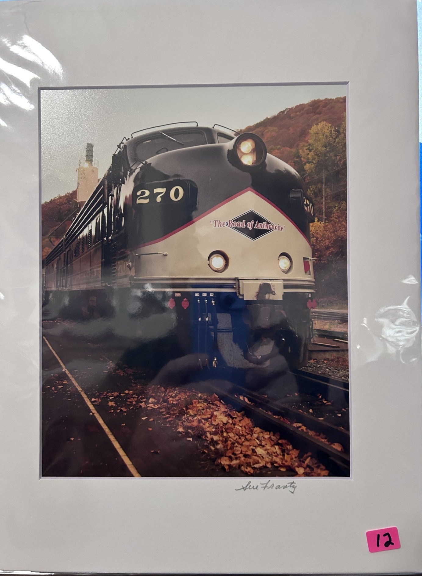 Sue Frantz photograhy  8 x 10 in 11 x 14 matted - PC144