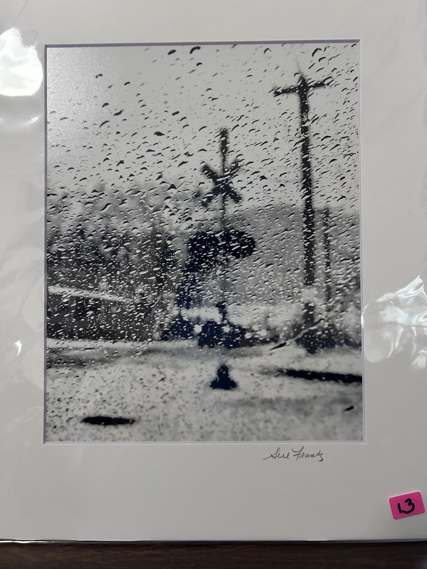 Sue Frantz photograhy  8 x 10 in 11 x 14 matted - PC144