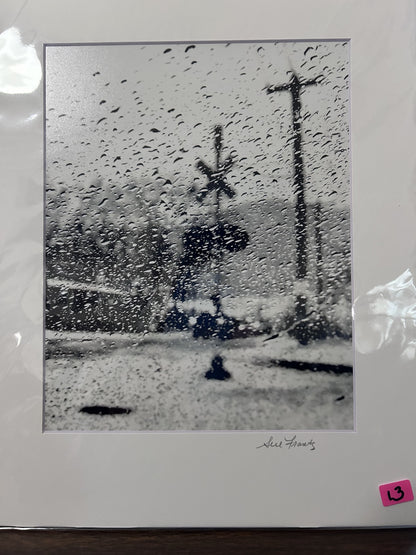 Sue Frantz photograhy  8 x 10 in 11 x 14 matted - PC144