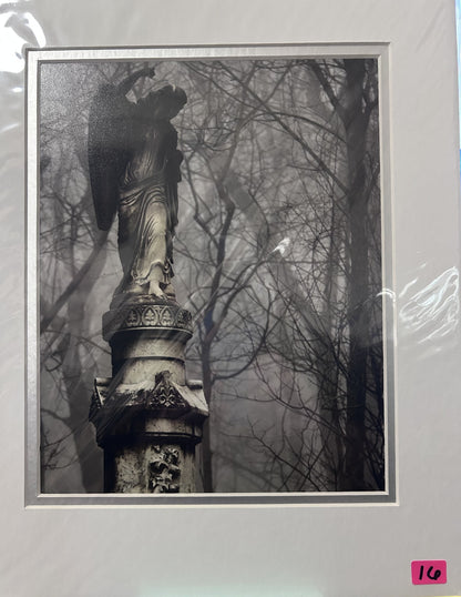 Sue Frantz photograhy  8 x 10 in 11 x 14 matted - PC144