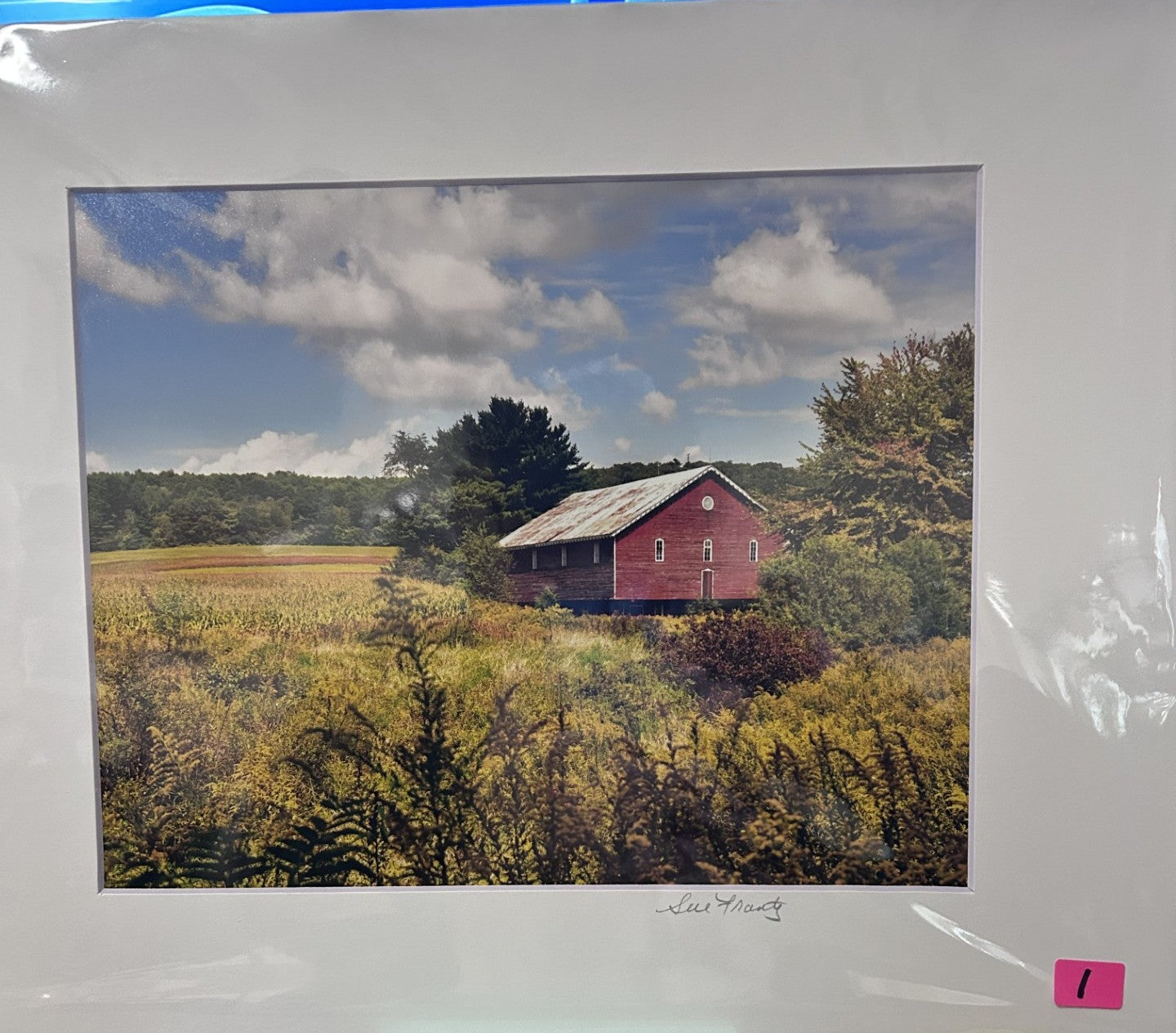 Sue Frantz photograhy  8 x 10 in 11 x 14 matted - PC144