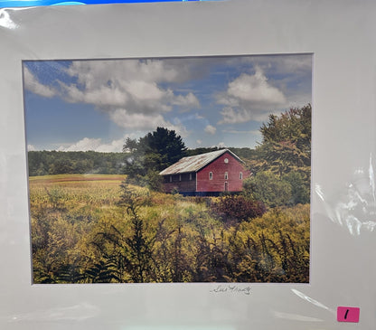 Sue Frantz photograhy  8 x 10 in 11 x 14 matted - PC144