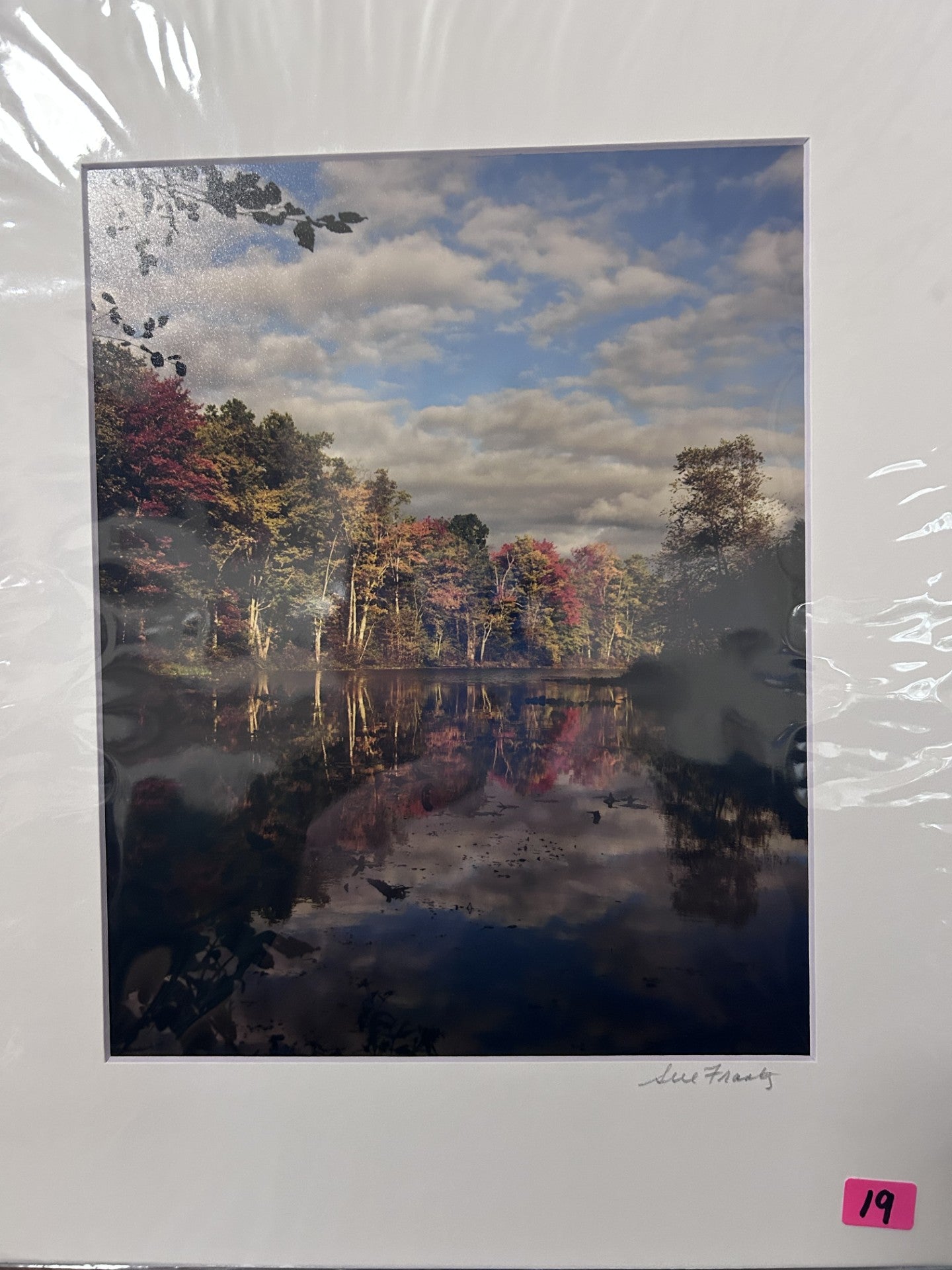 Sue Frantz photograhy  8 x 10 in 11 x 14 matted - PC144