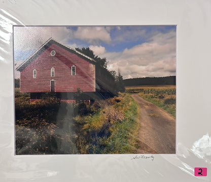 Sue Frantz photograhy  8 x 10 in 11 x 14 matted - PC144