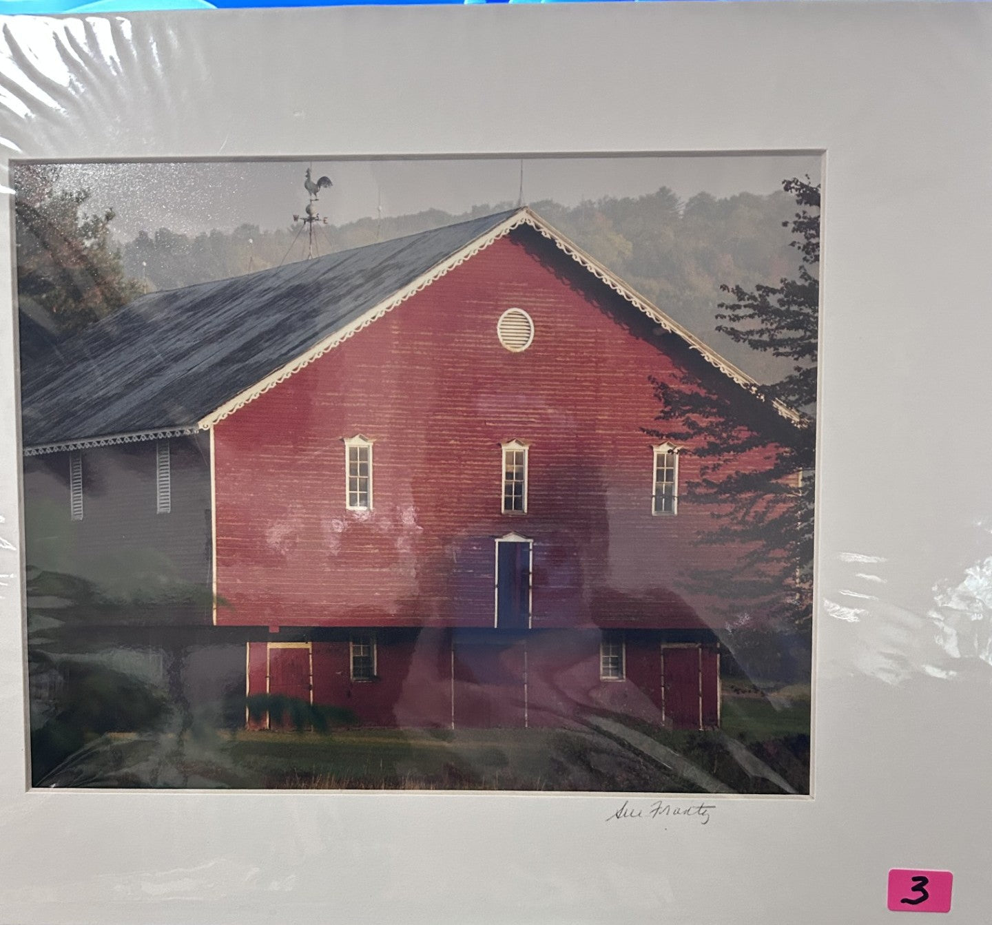 Sue Frantz photograhy  8 x 10 in 11 x 14 matted - PC144
