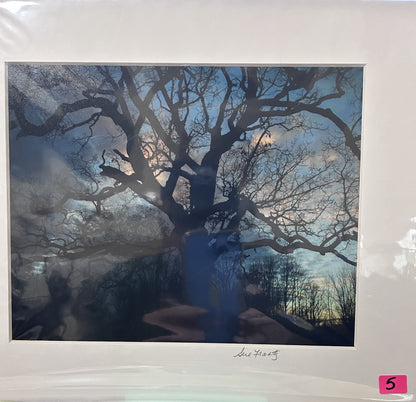 Sue Frantz photograhy  8 x 10 in 11 x 14 matted - PC144