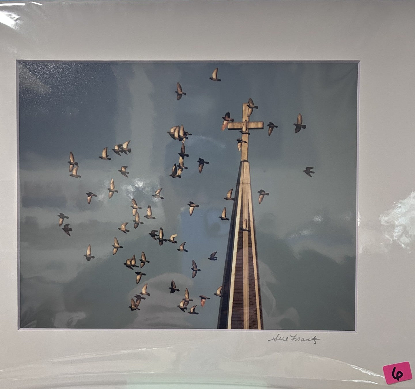 Sue Frantz photograhy  8 x 10 in 11 x 14 matted - PC144