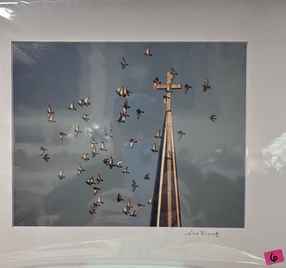 Sue Frantz photograhy  8 x 10 in 11 x 14 matted - PC144