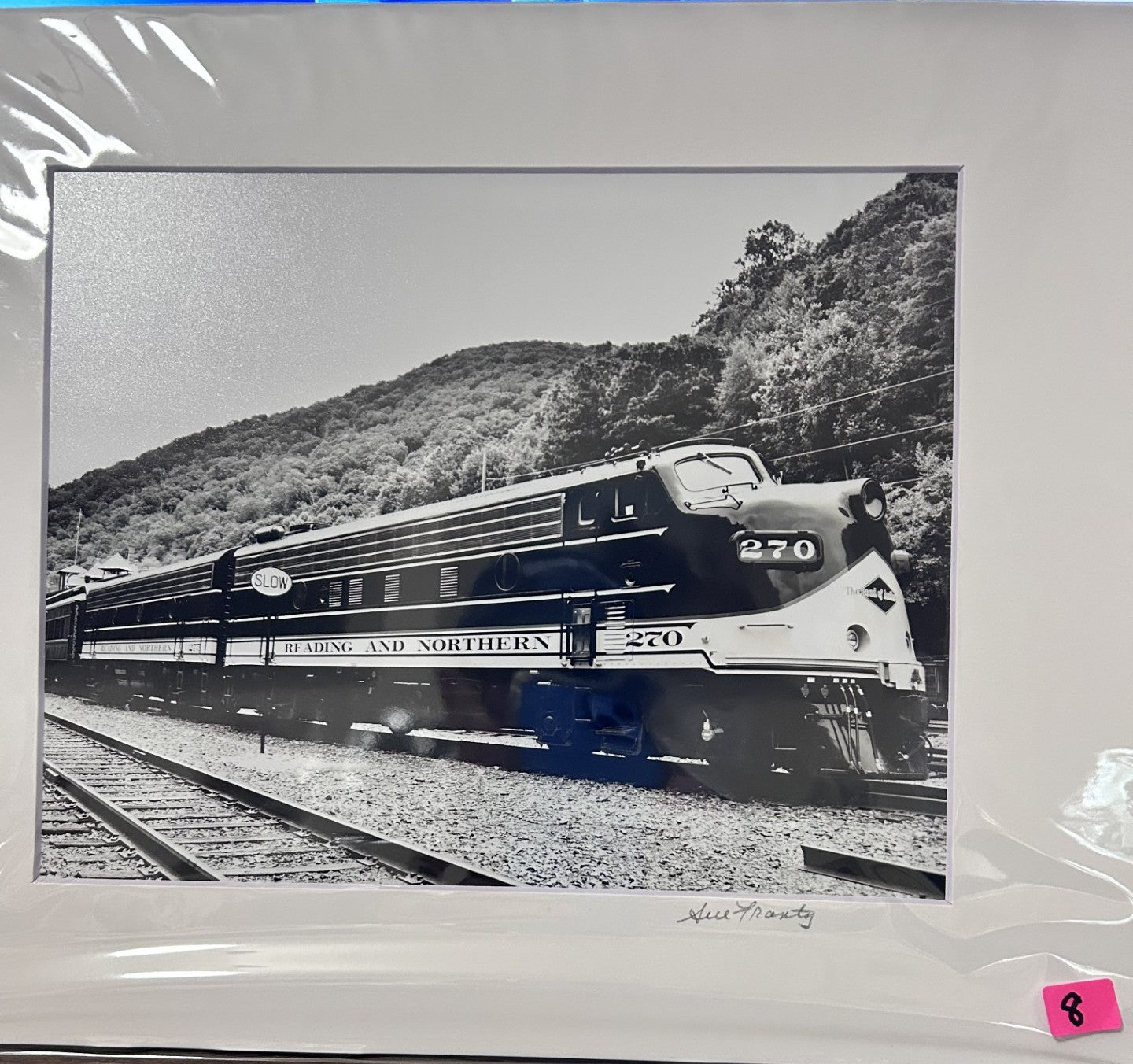 Sue Frantz photograhy  8 x 10 in 11 x 14 matted - PC144