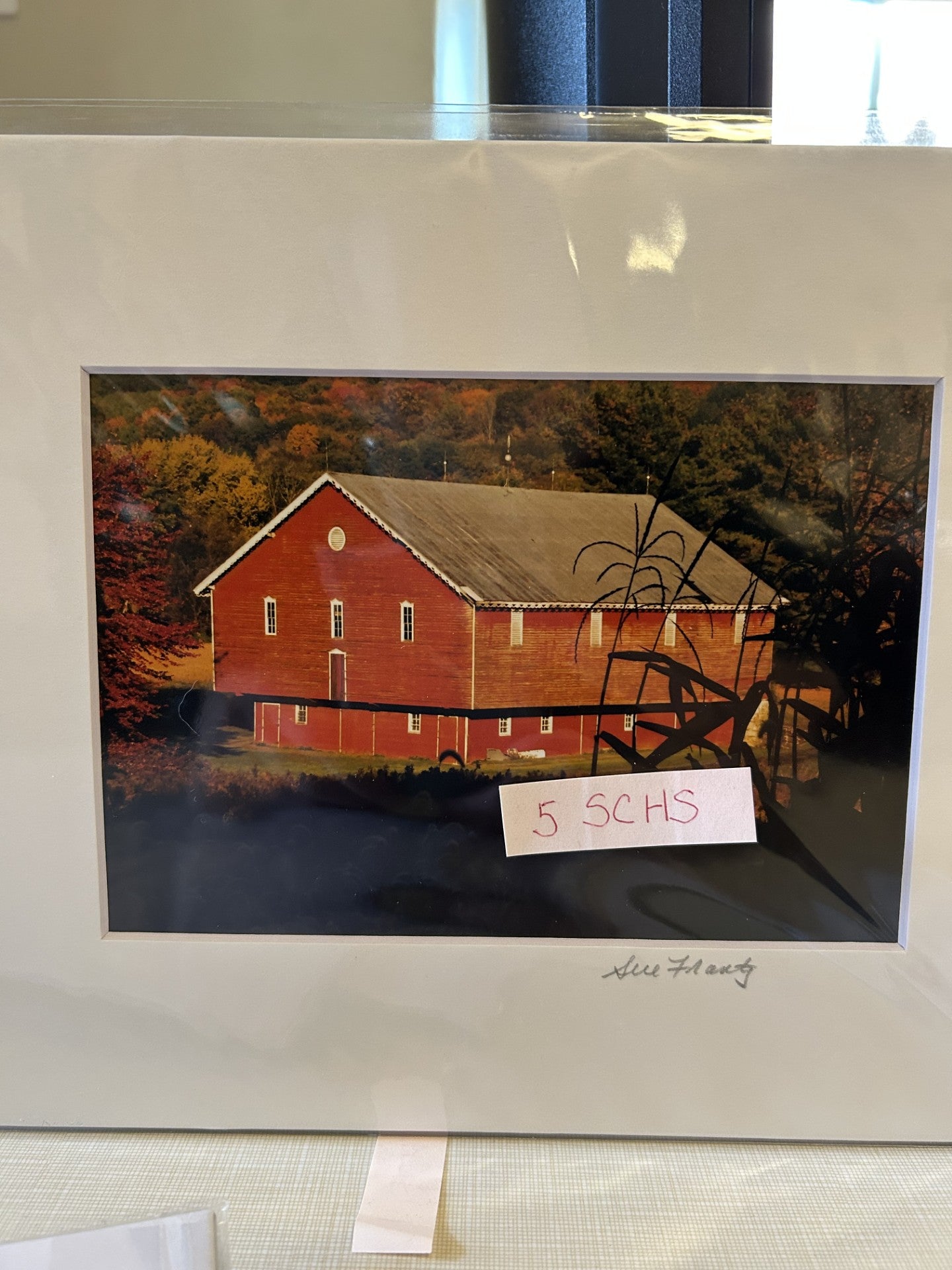 Sue Frantz 8 x 10 matted - PC142