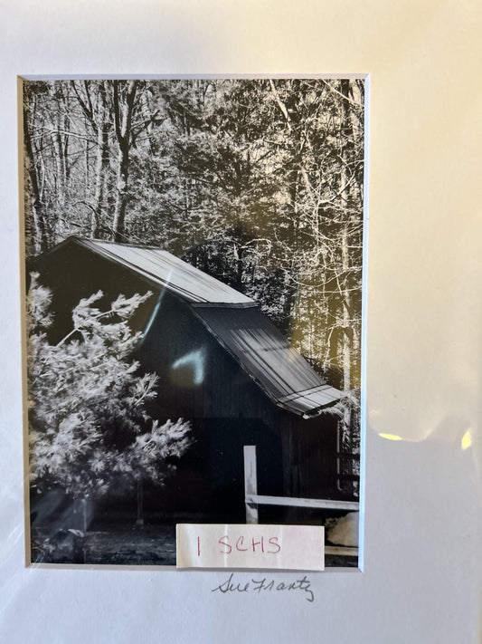 Sue Frantz 8 x 10 matted - PC142